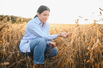 Naklejka na ściany i meble Female farmer or agronomist examining soybean plants in field.