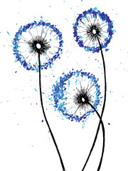 Decoration with dandelions flowers. Vector illustration. Botanical background