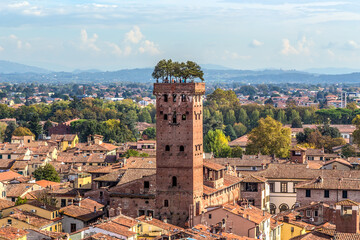 Fototapeta na wymiar Lucca, Italy. Aerial view. In the foreground is the Guinigi tower, XIV century