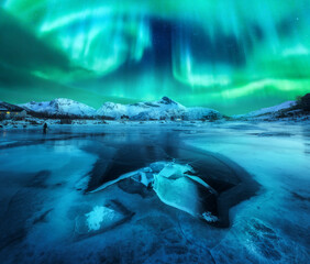 Northern lights over snowy mountains, frozen sea coast and reflection in water in Lofoten islands,...