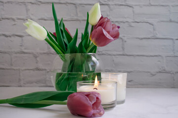 Tulip flower, candle on old background