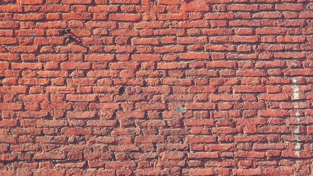 Red bricks wall texture Seamless Loop. Concrete blocks wall background.