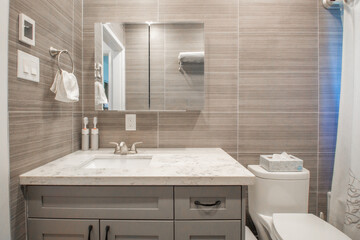 A Small Fancy Bathroom