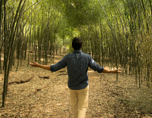 man in forest