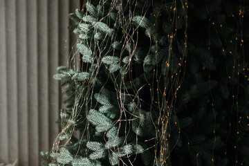 Dark photo. Christmas tree on a gray background.