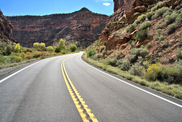 Summer time road trip