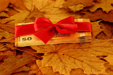 package of 50 euro banknotes tied with a red ribbon with a beautiful bow lies on dry autumn leaves