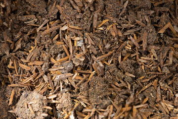Chicken dung mixed soil on nature background.