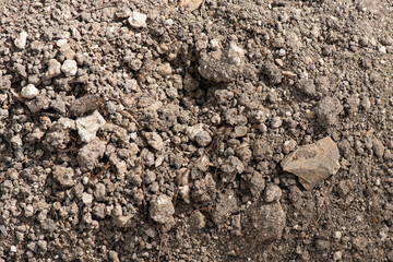 Soil for planting trees on nature background.