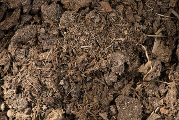 Cow dung mixed soil on nature background.