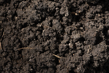 Soil for planting trees on nature background.