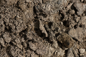 Soil for planting trees on nature background.