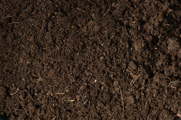 Soil for planting trees on nature background.