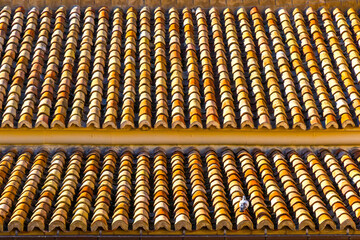 Brown roof tiles of an old spanish style building. Close-up rooftop details