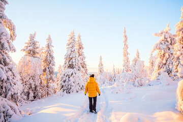 Young woman in winter forest in Finland - 553328169