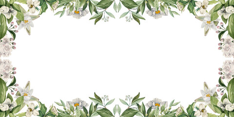Ornamental daisy and Mountain flower floral border, decorative frame and plants on isolated empty background