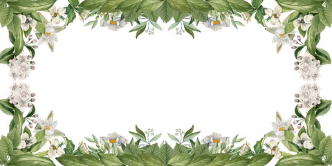 Obraz premium Ornamental daisy and wildflowers floral border, decorative frame and plants on isolated empty background