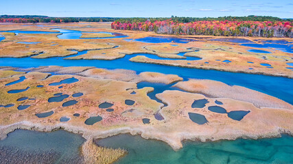Aerial over stunning marshes of Maine with fall forests and patches of water