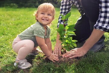 Father and his baby daughter planting tree together in garden, closeup