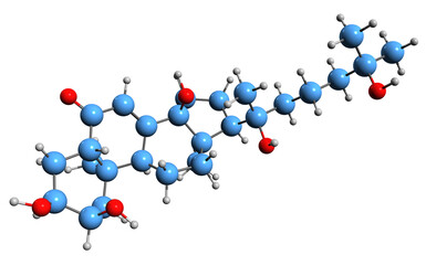  3D image of Ecdysone skeletal formula - molecular chemical structure of insect molting prohormone  isolated on white background