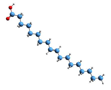  3D image of Elaidic acid skeletal formula - molecular chemical structure of omega 9 fatty acid isolated on white background