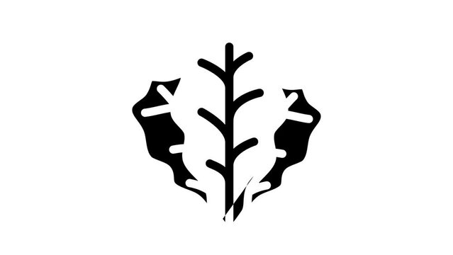spinach leaves glyph icon animation