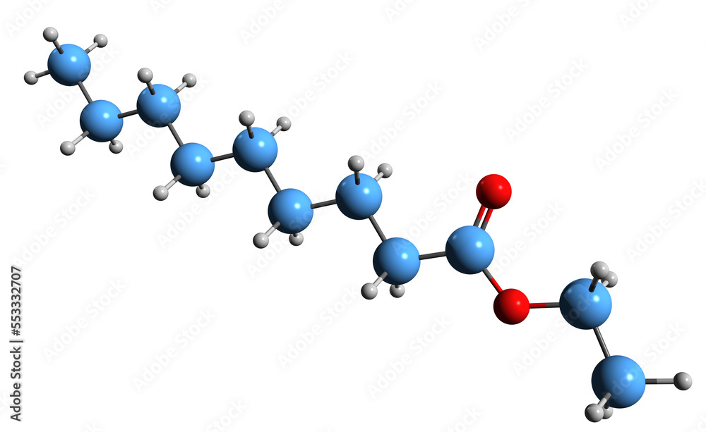 Canvas Prints  3D image of Ethyl nonanoate skeletal formula - molecular chemical structure of Wine ether isolated on white background