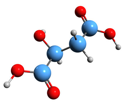  3D image of Malic acid skeletal formula - molecular chemical structure of Hydroxybutanedioic acid isolated on white background
