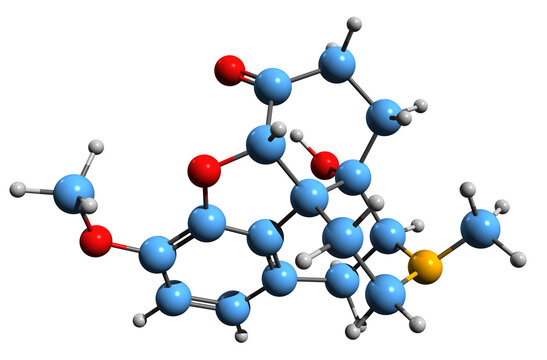  3D image of Oxymorphone skeletal formula - molecular chemical structure of opioid analgesic isolated on white background