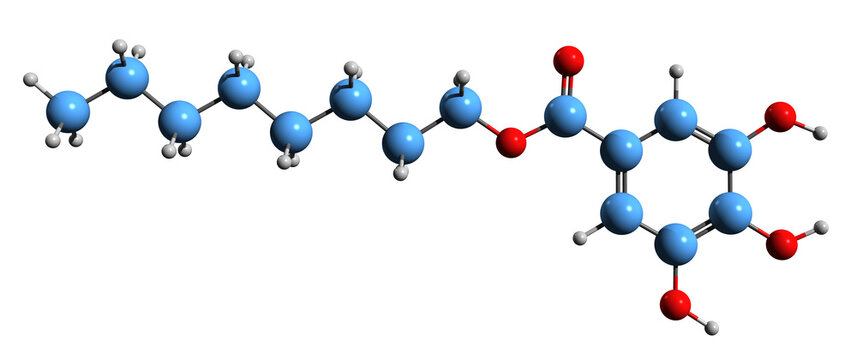  3D image of Octyl gallate skeletal formula - molecular chemical structure of ester of 1-octanol and gallic acid isolated on white background
