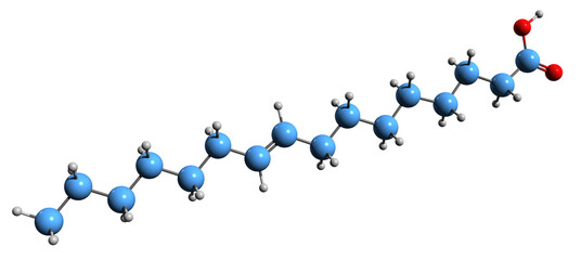  3D image of Palmitoleic acid skeletal formula - molecular chemical structure of Hexadecenoic acid isolated on white background