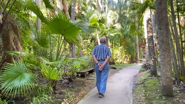 Elderly man walking through a botanical garden