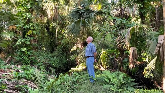 Elderly man standing in a botanical garden and enjoying nature