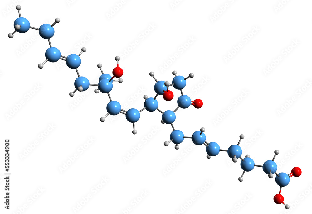 Wall mural  3D image of Prostaglandin E3 skeletal formula - molecular chemical structure of  eicosanoid isolated on white background
