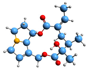  3D image of Senecifyllin skeletal formula - molecular chemical structure of pyrrolizidine alkaloid isolated on white background
