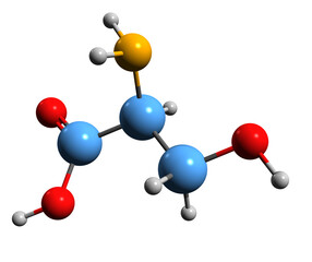 Obraz premium 3D image of Serine skeletal formula - molecular chemical structure of amino acid isolated on white background 