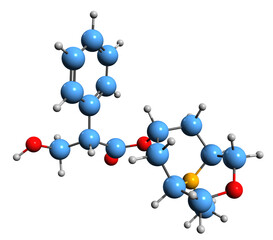 3D image of Scopolamine skeletal formula - molecular chemical structure of tropane alkaloid hyoscine isolated on white background