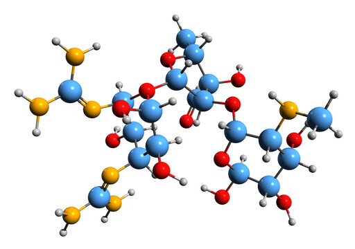  3D image of Streptomycin skeletal formula - molecular chemical structure of antibiotic medication isolated on white background
