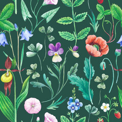 Seamless watercolor floral pattern with wild field and meadow plants. 