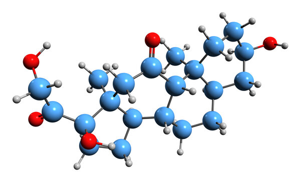  3D image of Tetrahydrocortisone skeletal formula - molecular chemical structure of urocortisone isolated on white background
