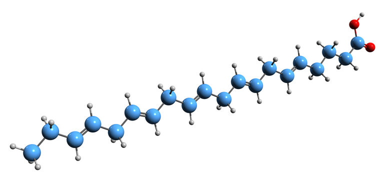  3D image of Eicosapentaenoic acid skeletal formula - molecular chemical structure of timnodonic acid omega-3 fatty acid  isolated on white background
