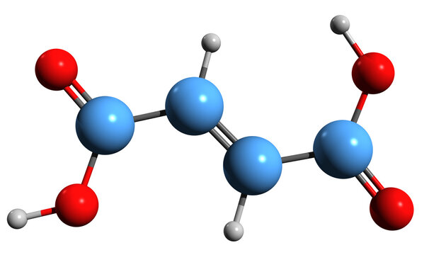  3D image of Fumaric acid skeletal formula - molecular chemical structure of Ethylenedicarboxylic acid isolated on white background
