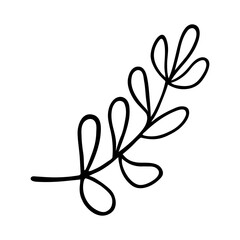 Tree branch vector icon. Hand drawn simple doodle isolated on white. Stem of herb with oval leaves. Forest, meadow, field or garden plant. Shrub twig sketch. Clipart for cards, cosmetics, logo, web