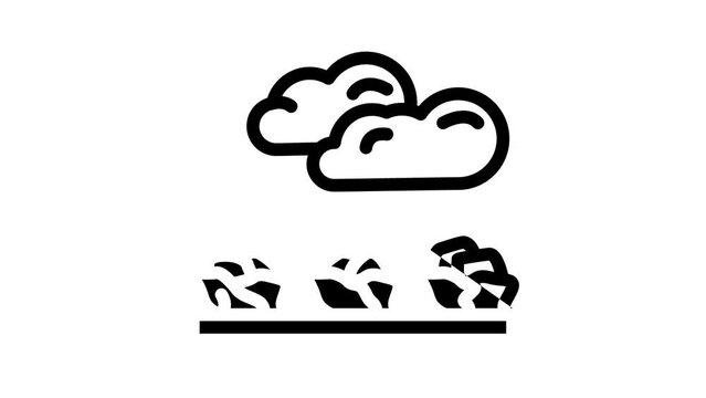 field salad food line icon animation