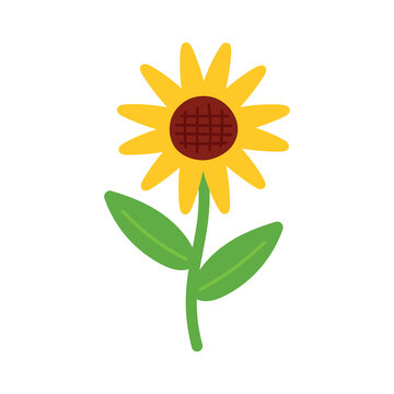 Hand Drawn Sunflower Cartoon Vector Icon Clipart Illustration