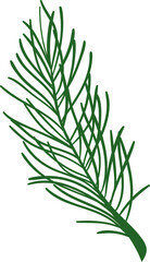 Christmas pine leaf branch 
