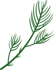 Fototapeta premium Christmas pine leaf branch 