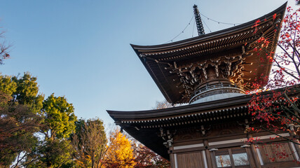 樹々が色付いた寺院