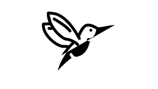 colibri little bird line icon animation