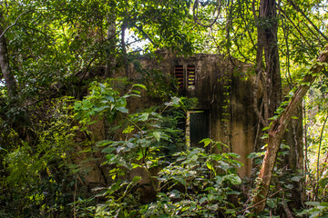 abandoned cabin in iguazu national park rainforest